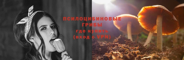 гашик Белокуриха
