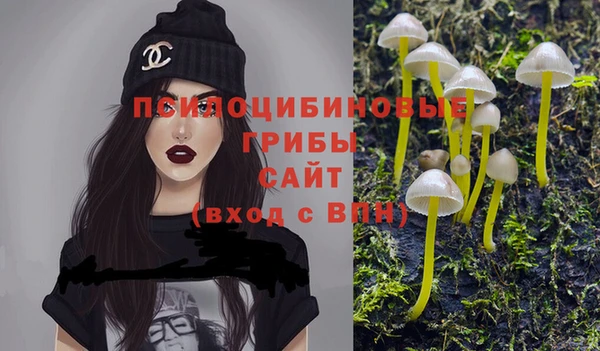 гашик Белокуриха
