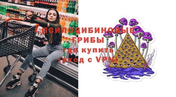 гашик Белокуриха