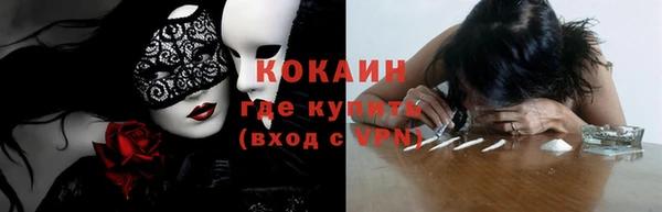 гашик Белокуриха