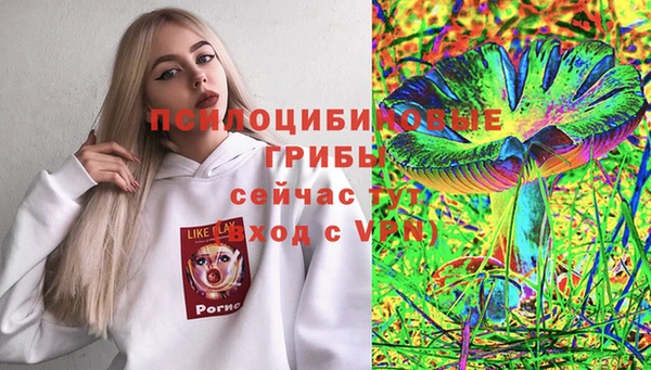 гашик Белокуриха