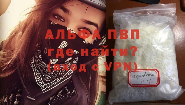 стаф Белоозёрский