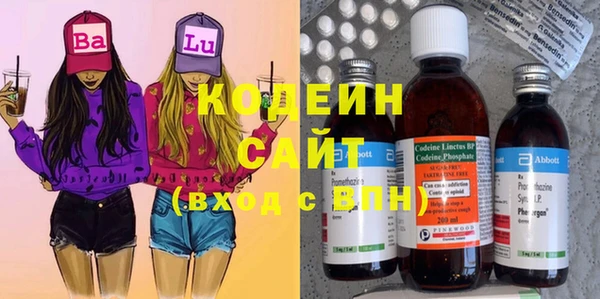 гашик Белокуриха