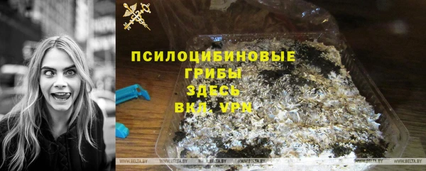 стаф Белоозёрский
