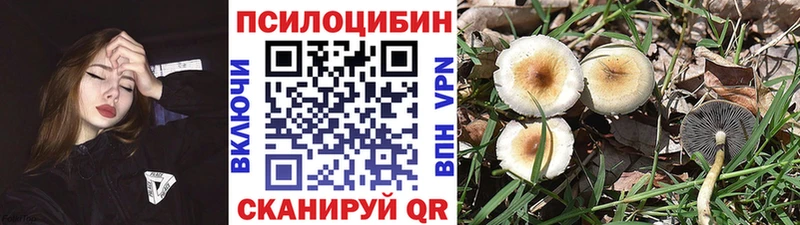 Галлюциногенные грибы ЛСД  Купить где  Магадан 